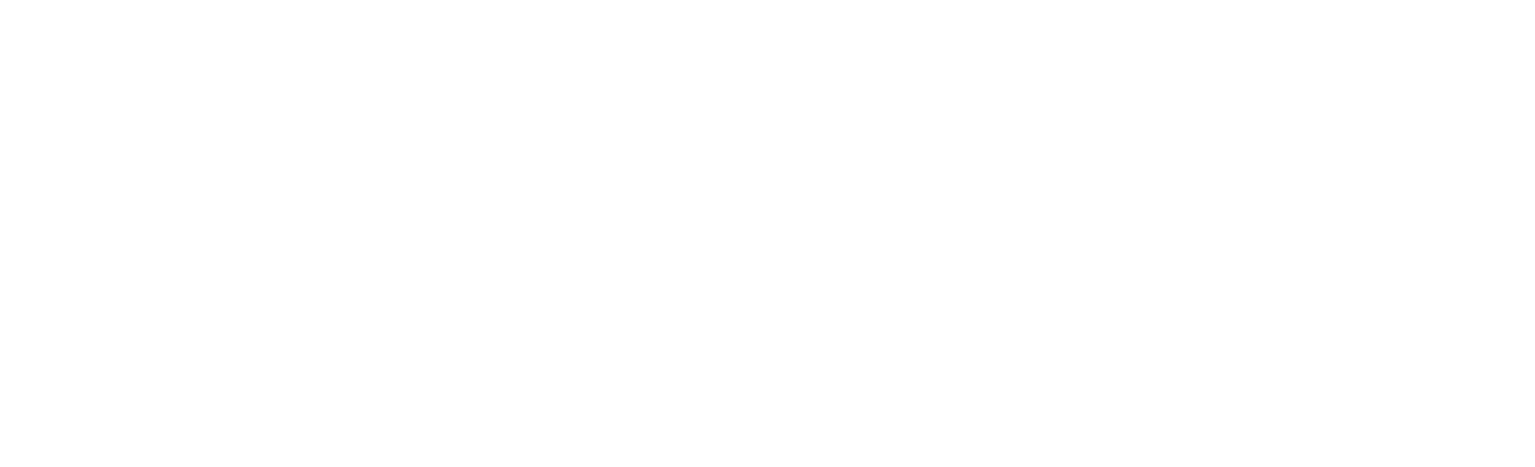 Physiotherapie Pauker Logo